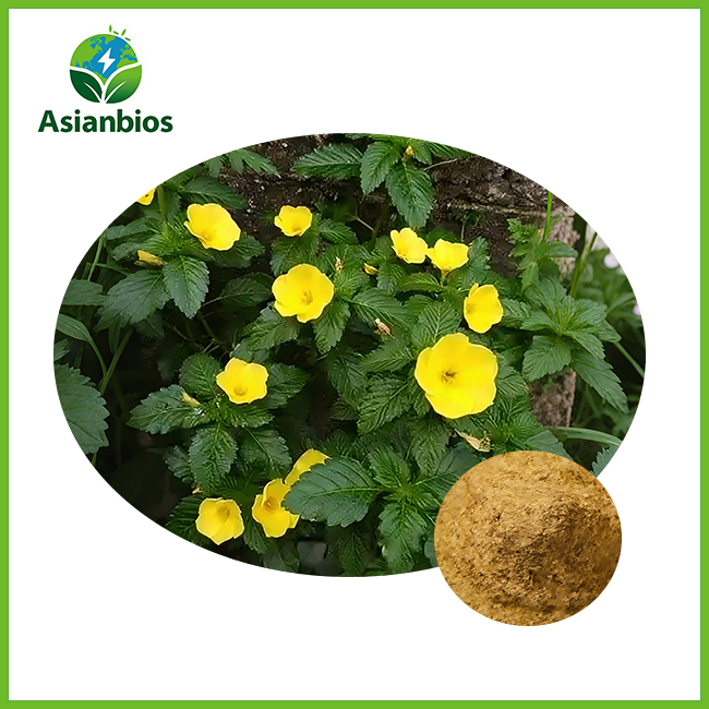 Damiana Leaf Extract Powder